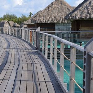 Meet your Posher, Taryn